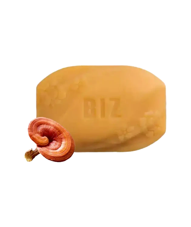 صابون قارچ گانودرما