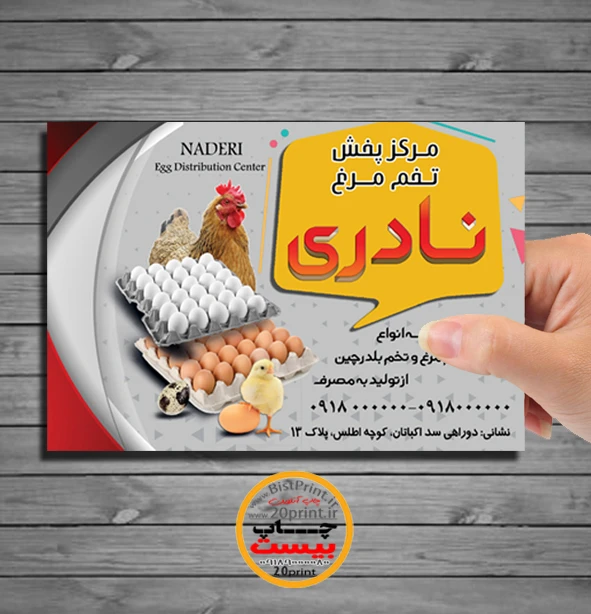 طرح تراکت فروشگاه مرغ و پخش تخم مرغ