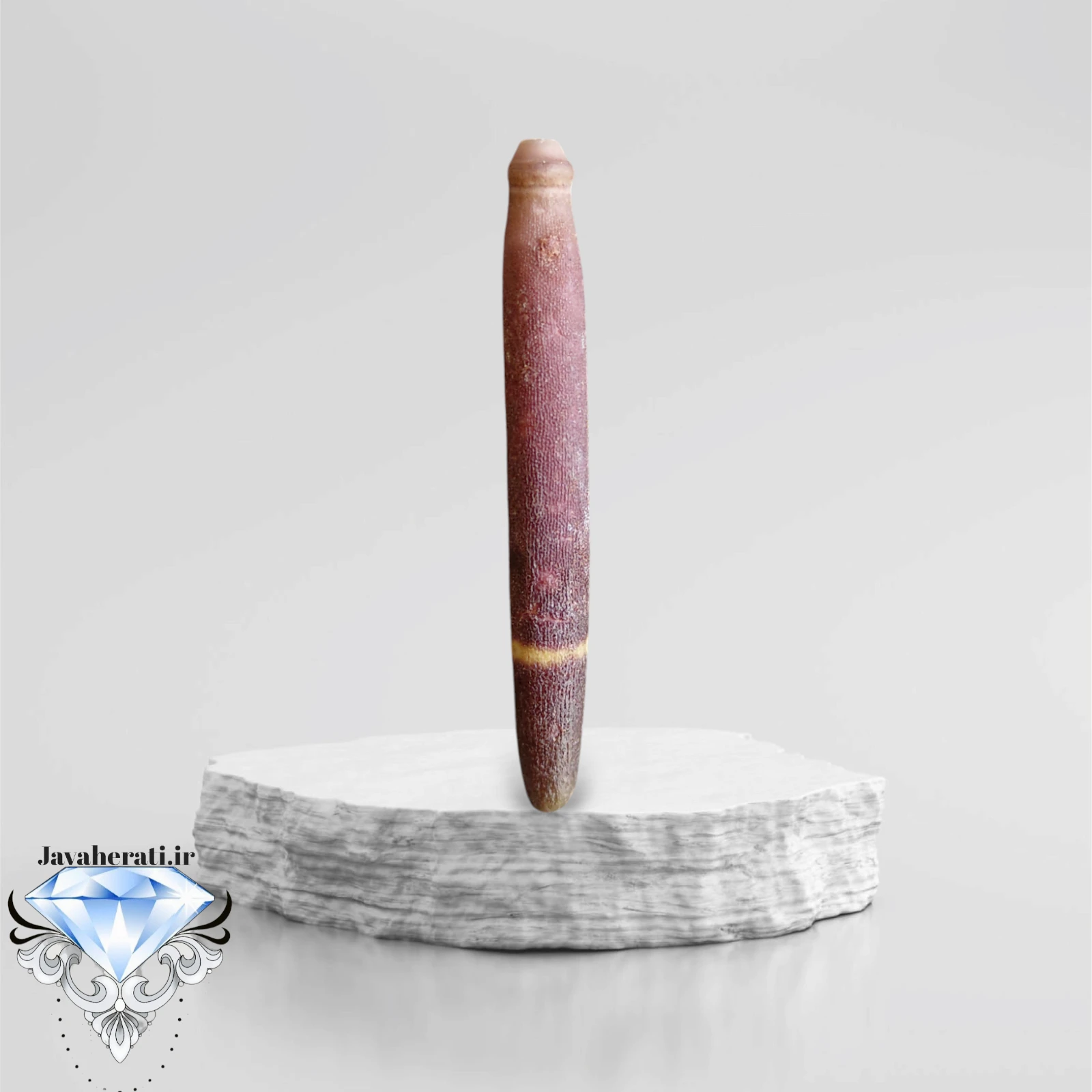 عرج بری اصیل و ارزشمند