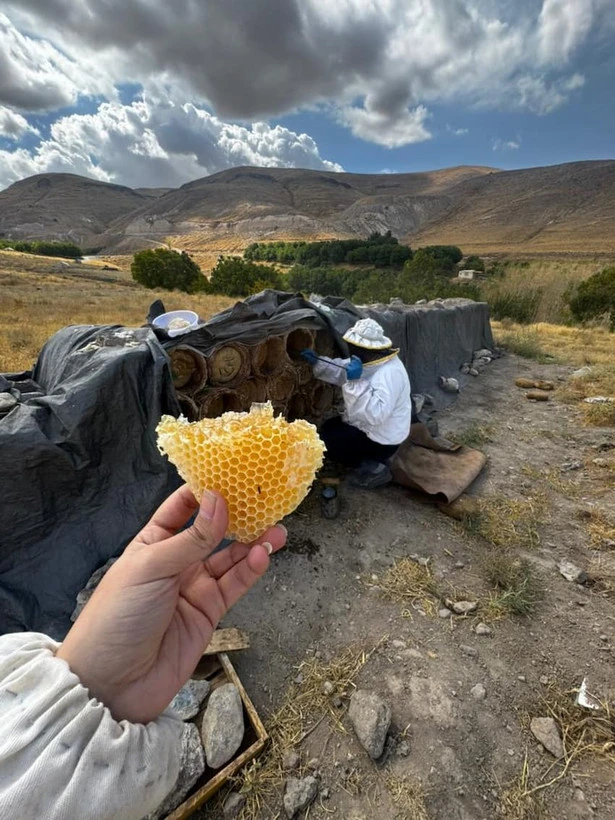 عسل با موم طبیعی