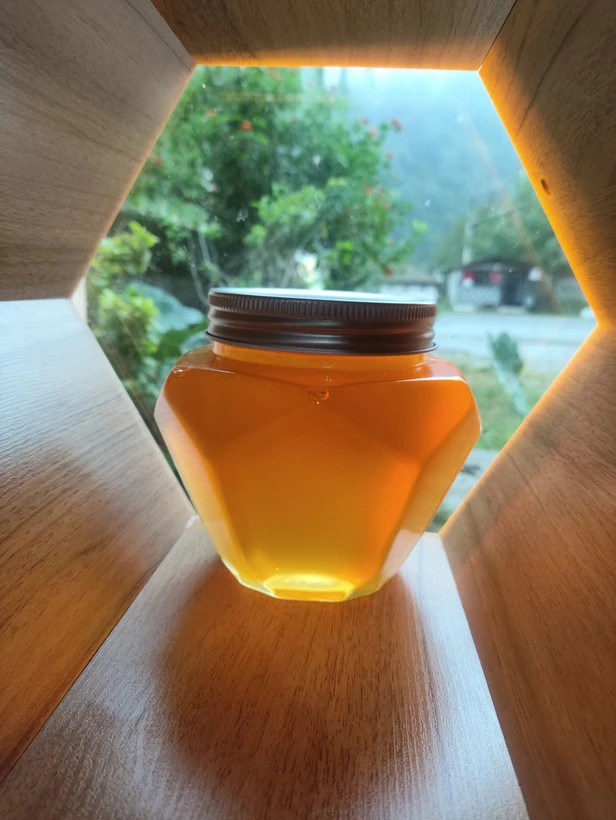 عسل تغذیه