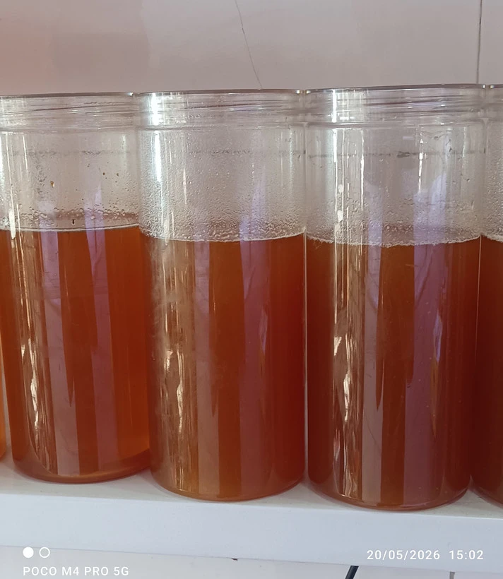 عسل رویال آویشن