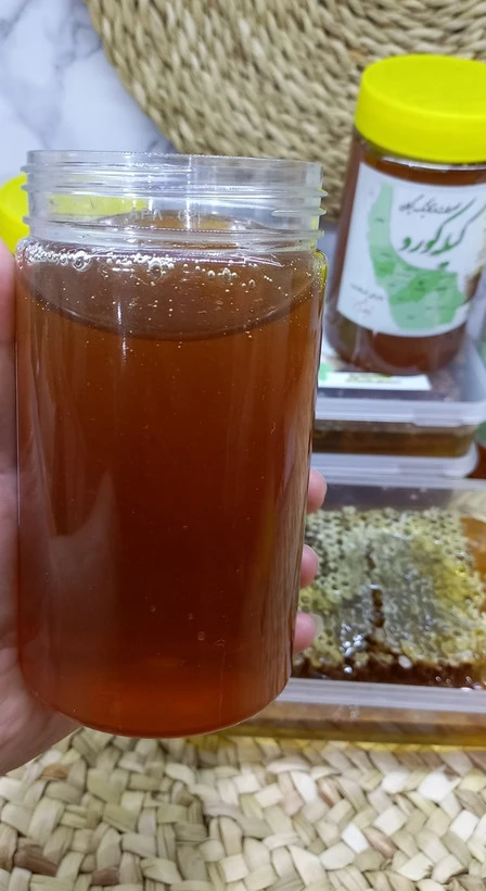 عسل طبیعی و ارگانیک گیلان _ ظرف ۷۰۰ گرمی (بدون موم)