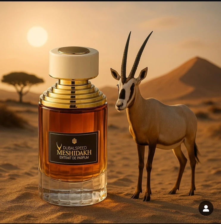 عطرادکلن میشداخ 100 میل