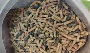 غذای مرغ مینا اوشکایا