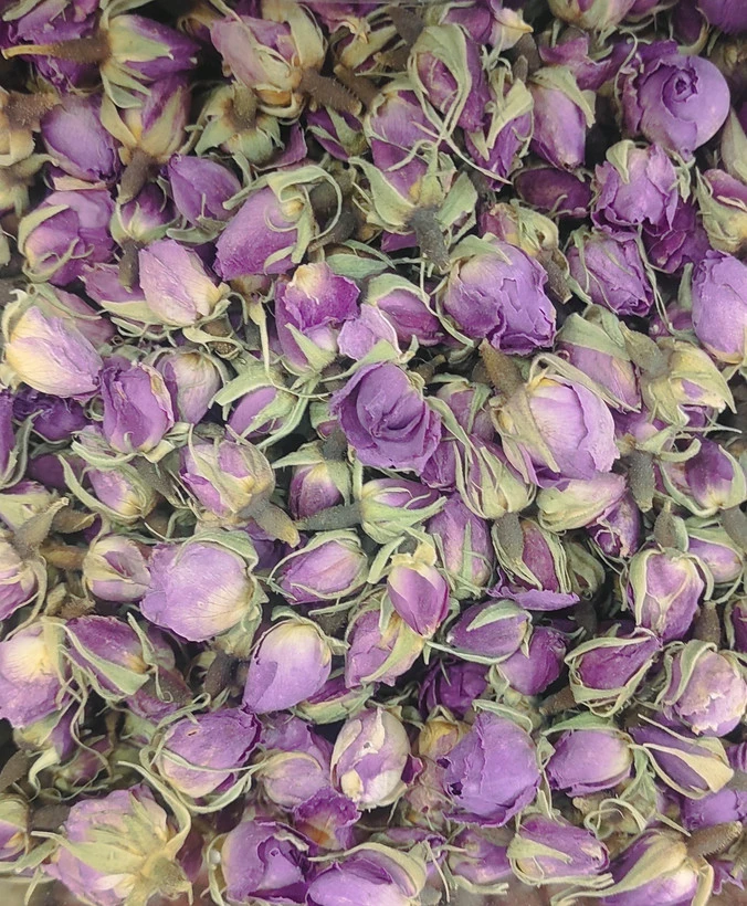 غنچه گل محمدی خشک معطر دمنوش گیاهی