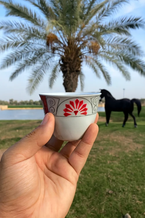 فنجان قهوه طرح گل قرمز ست 6 عددی