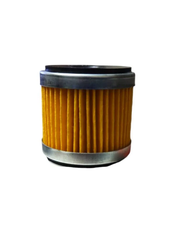 فیلتر روغن موتور بنلی 250 تک سیلندر و trk تی ار کی و لئونچینو (درجه 1) 