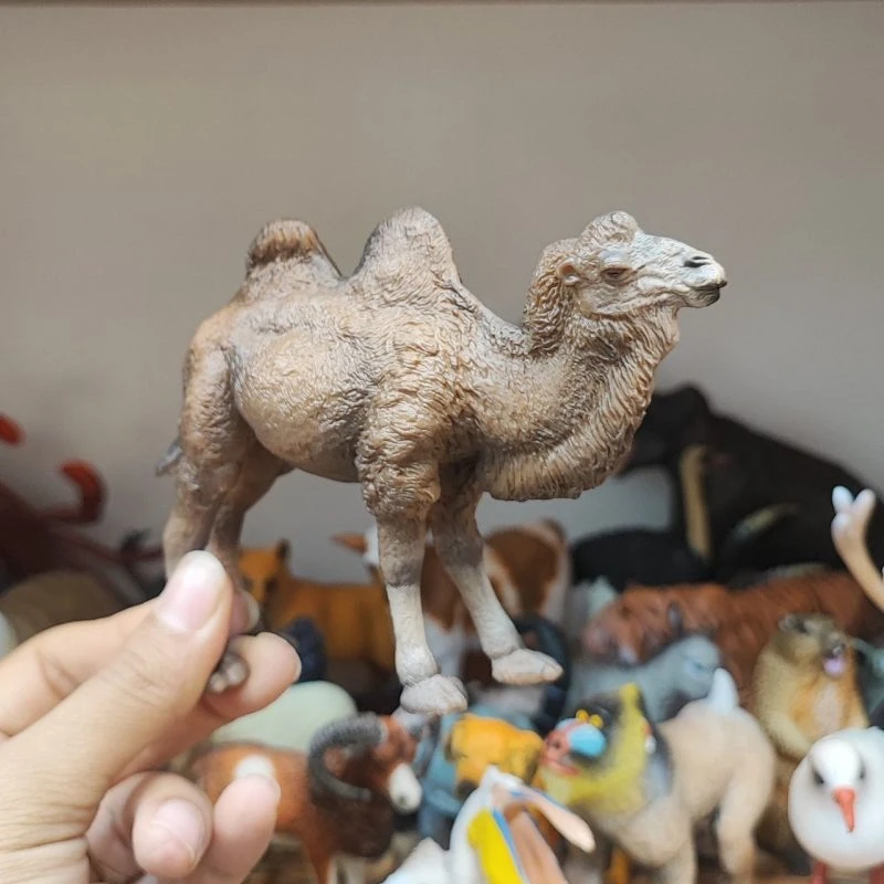 فیگور شتر دو کوهان اورجینال