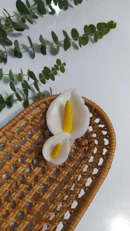 قااب سیلیکونی گل شیپوری