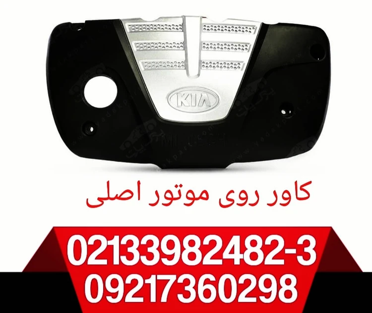 قاب روی موتور ریو اصلی