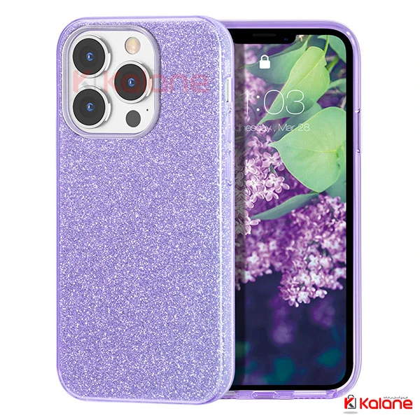 قاب ژله ای اکلیلی Apple iPhone 12 Pro Max