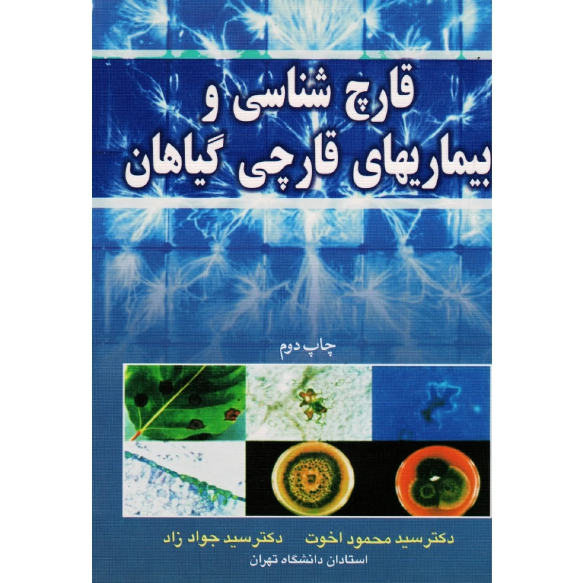 قارچ شناسی و بیماریهای قارچی گیاهان / محمود اخوت جواد زاد / نشرآییژ