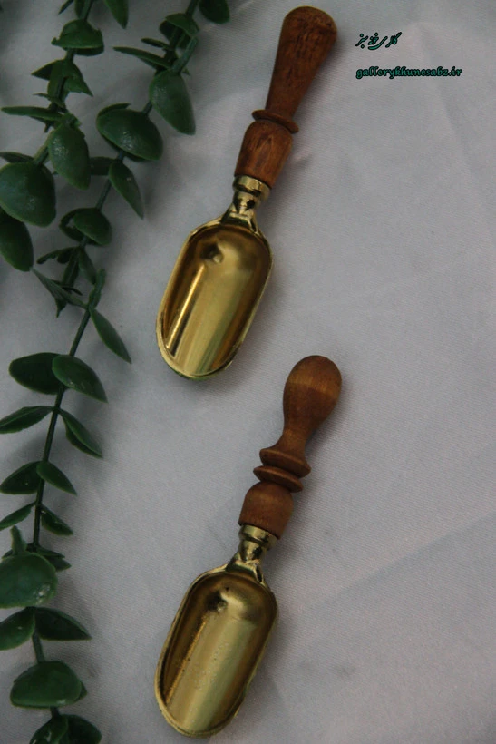 قاشق ادویه دسته چوبی رنگ طلایی