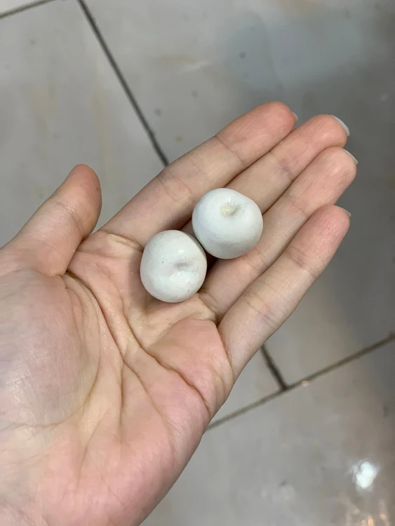 قالب سیلیکونی البالو