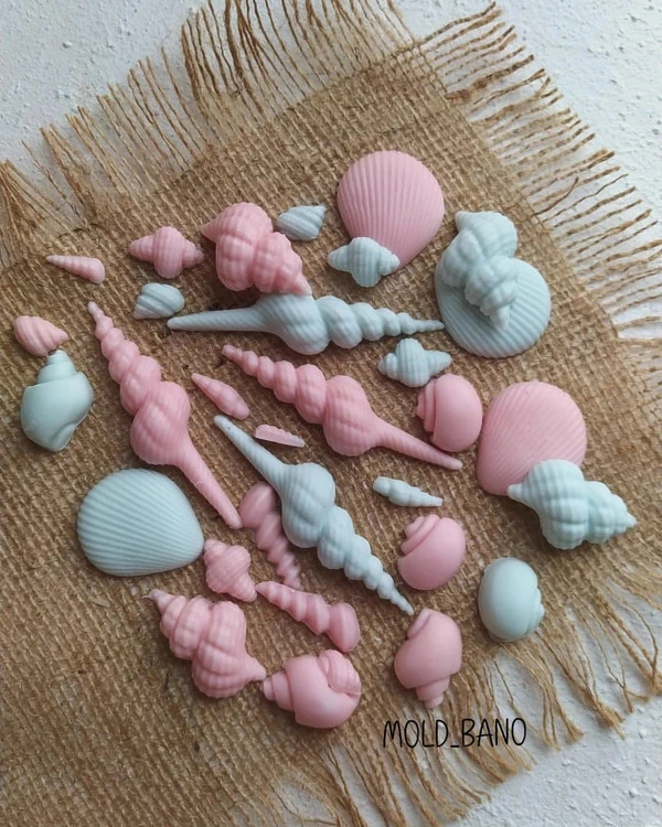 قالب سیلیکونی ست صدف دریایی