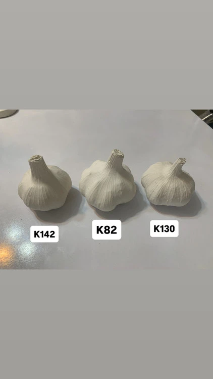 قالب سیلیکونی سیر