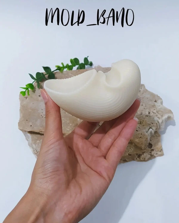 قالب سیلیکونی گوش ماهی