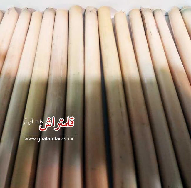 قلم نی شمالی اعلا با کیفت و محکم بسته ۳ عددی