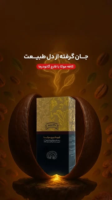 قهوه گانودرما اکسیژن ساز خون