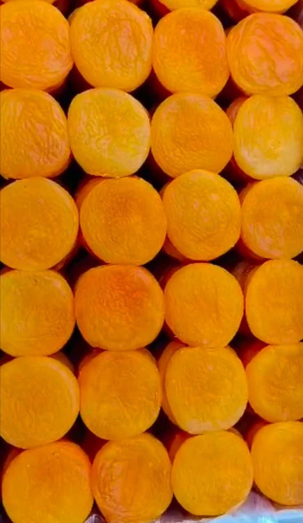 قیسی زردآلو