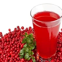 کنسانتره سیب اسپتیک خرید و قیمت، فروش صادراتی بریکس 70