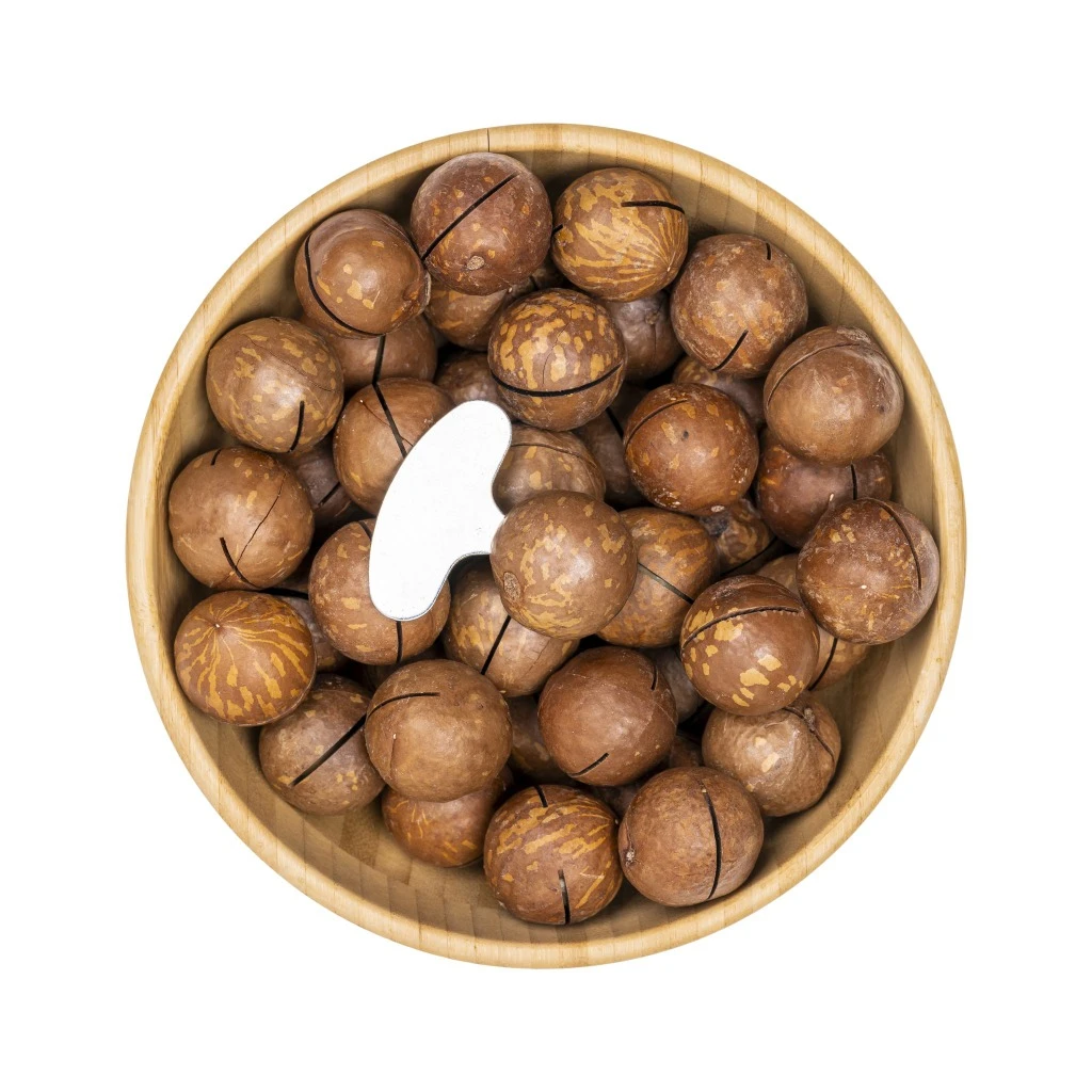 ماکادمیا (فندق استرالیایی)