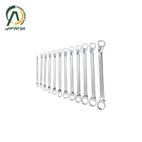 مجموعه 12 عددی آچار دو سر رینگ آتا مدل MX1200