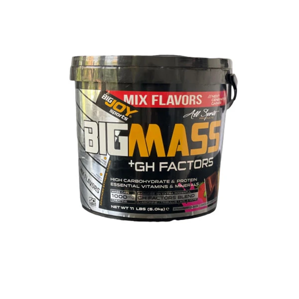 مس گینر بیگ مس بیگ جوی5/400کیلو Bigjoy Bigmass