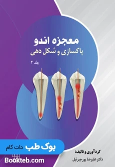 معجزه اندو جلد دوم پاکسازی و شکل دهی