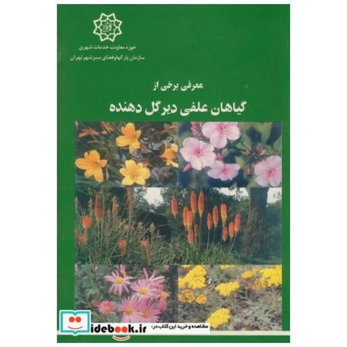معرفی برخی از گیاهان علفی دیرگل دهنده / سازمان پارکها و فضاس سبز