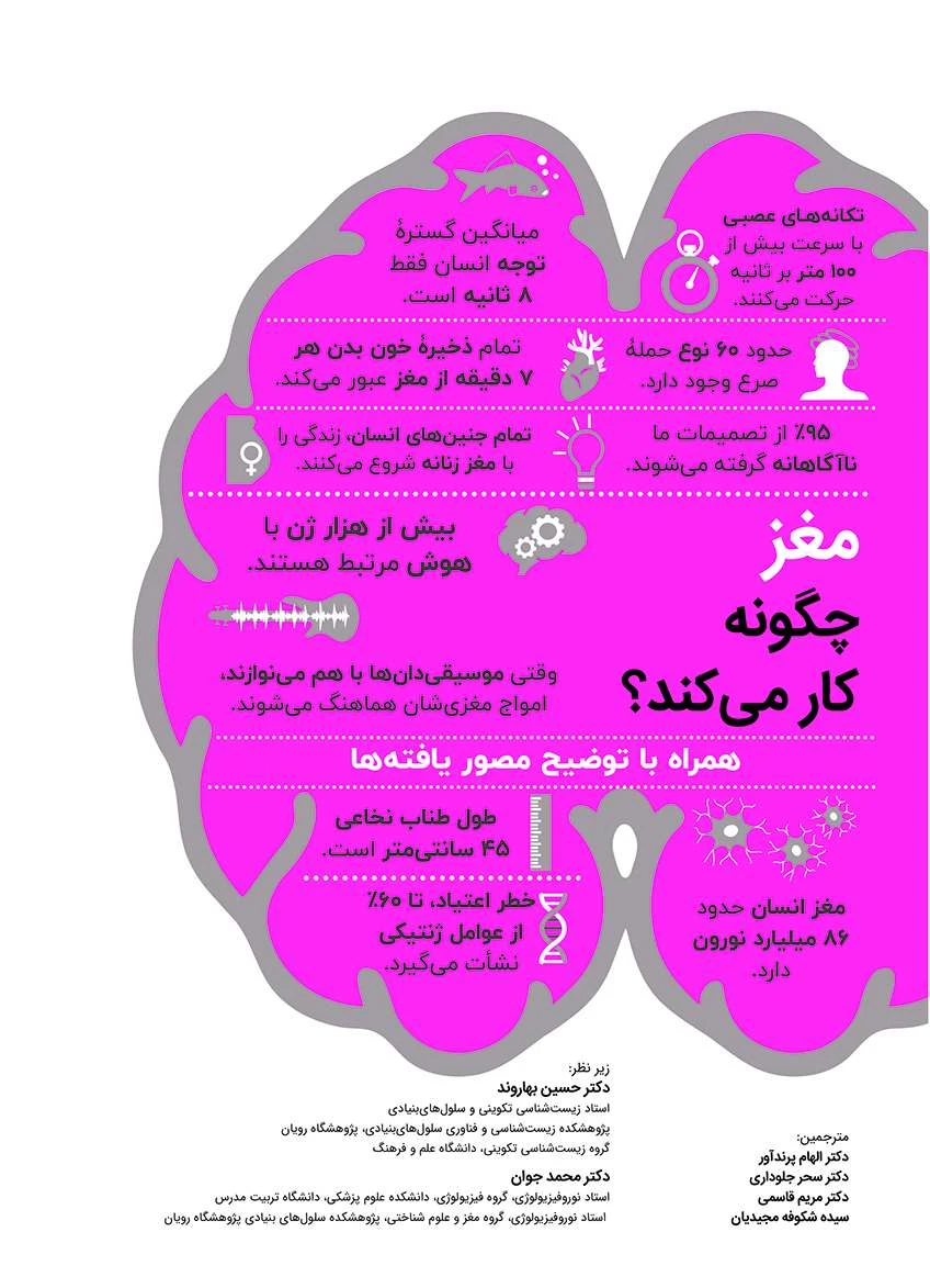 مغز چگونه کار میکند