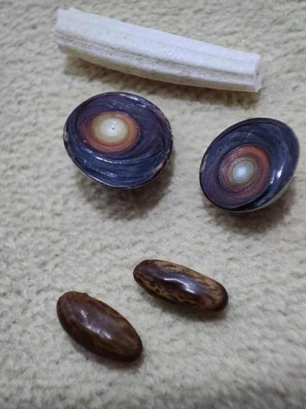 مهره مار اصل بادعای به نام وفعال (کپی)