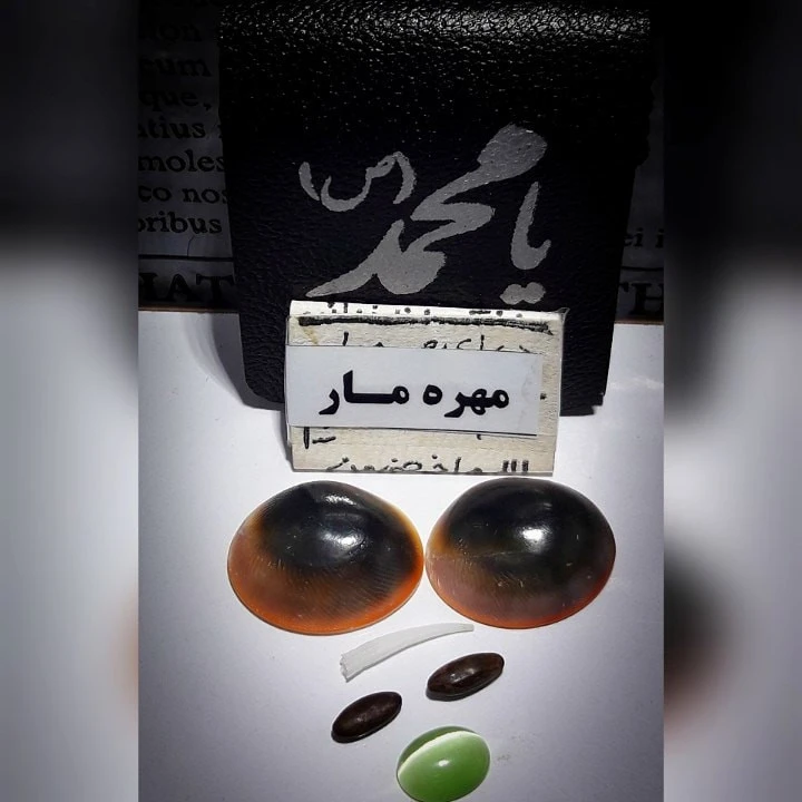مهره مار افعی سیاه