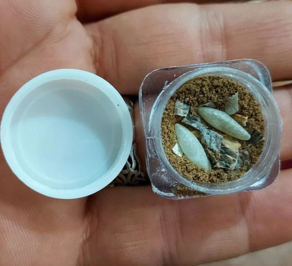 مهره مار دانه برنجی افعی همراه باکیف گردنی وبخورات