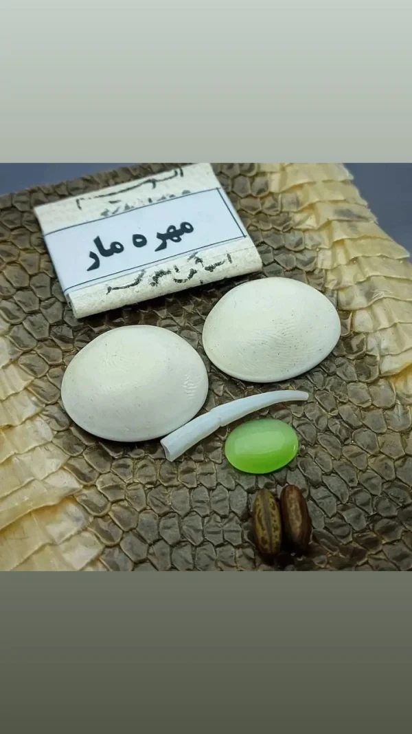 مهره مار شاه کبری سفید بافعالسازی روی پوست آهو