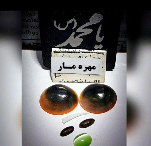 مهره مار مامبای سیاه
