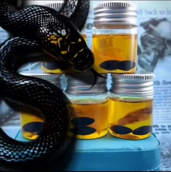 مهره مارافعی سیاه باپوست وروغن مار (کپی)