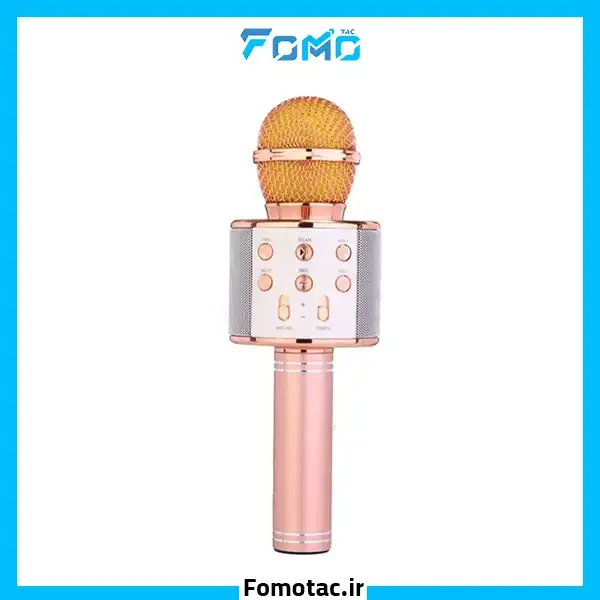میکروفون اسپیکر مدل WS-858