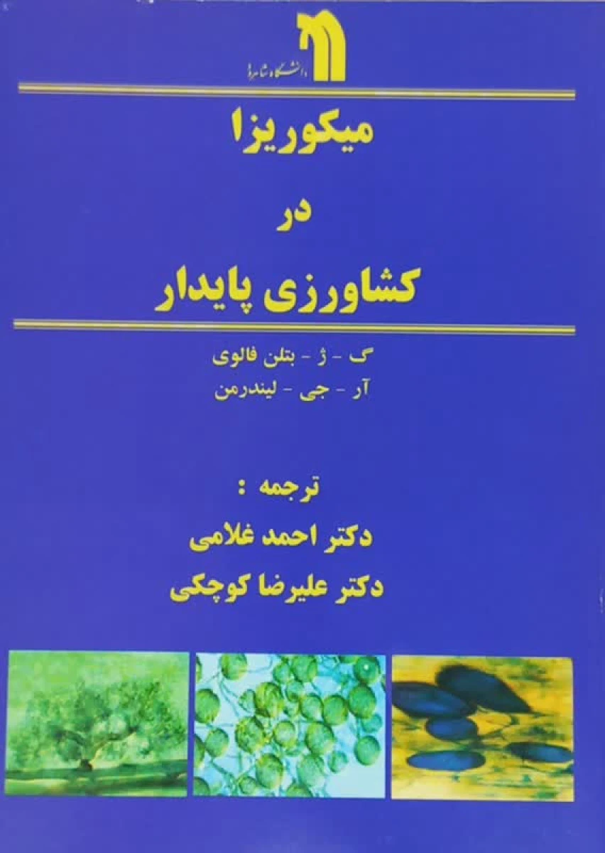 میکوریزا در کشاورزی پایدار / بتلن فالوی / جی لیندرمن / احمد غلامی علیرضا کوچکی / نشرنشردانشگاه شاهرود