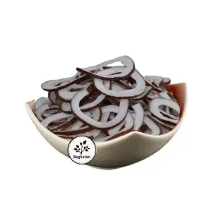 نارگیل خشک (چیپس نارگیل) باغستان
