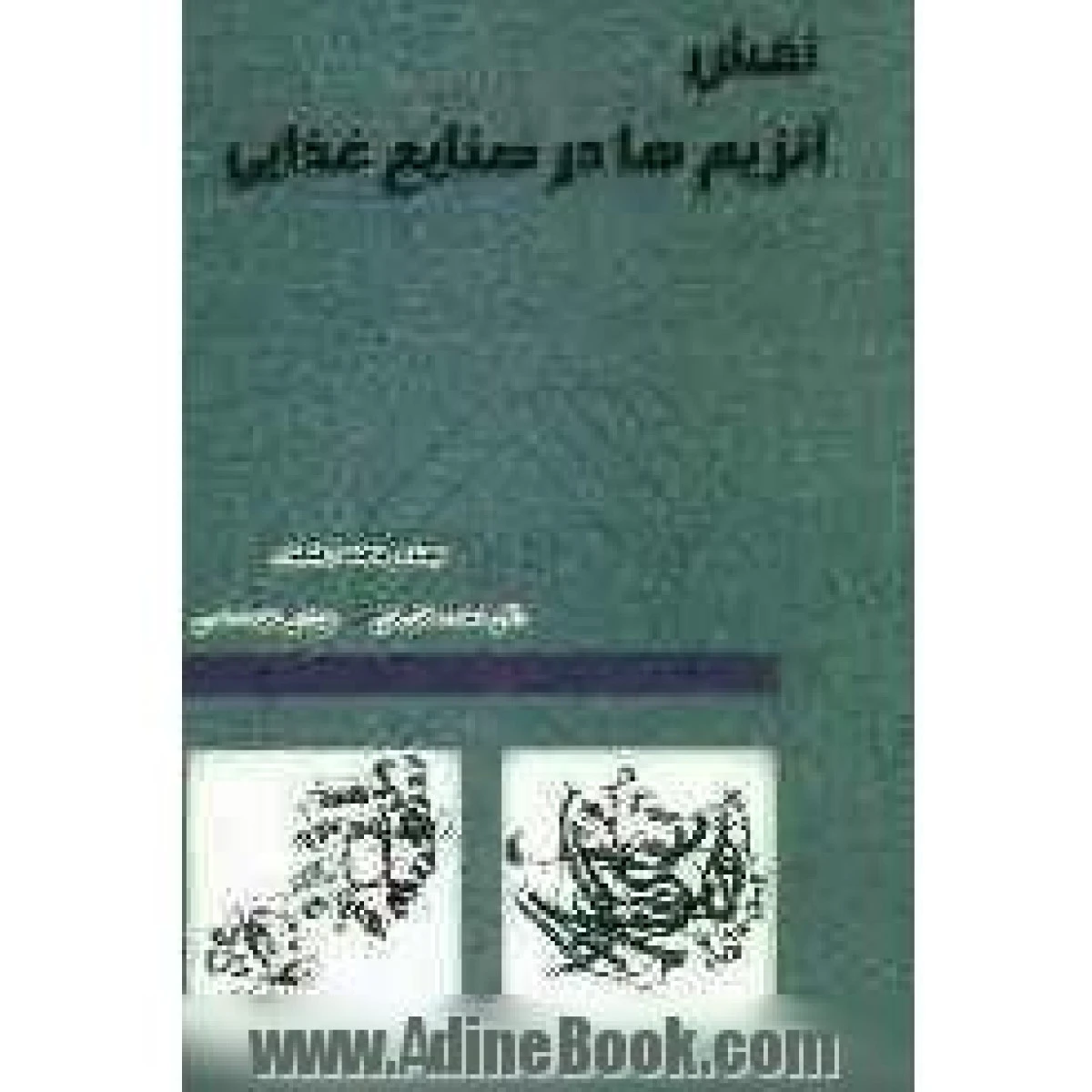 نقش آنزیم ها در صنایع غذایی/ فاطمه رفیعیان / محمد فضیلتی / نجمه شمس