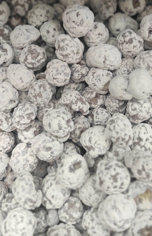 نقل ذرت اعلا شیرینی سنتی خوراکی