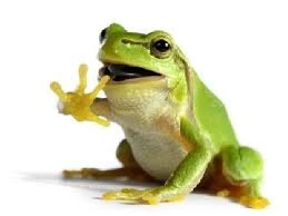 نمونه کد الگوریتم جهش قورباغه در متلب-Shuffled Frog Leaping Algorithm in MATLAB