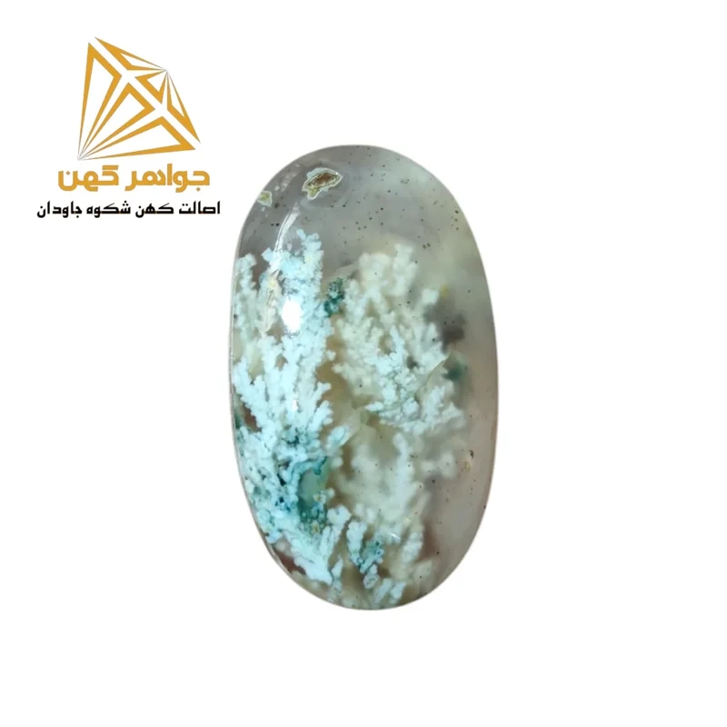 نگین شجر بهاری (کد 70)