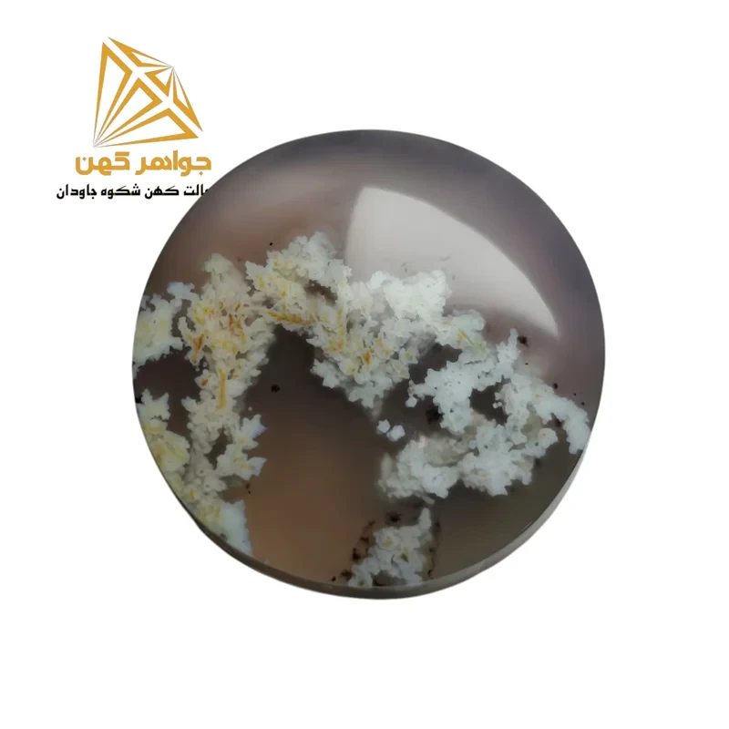 نگین شجر بهاری (کد۷۴)