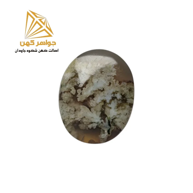نگین شجر بهاری (کد۷۶)