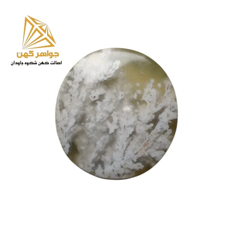 نگین شجر زمستانی (کد۷۷)