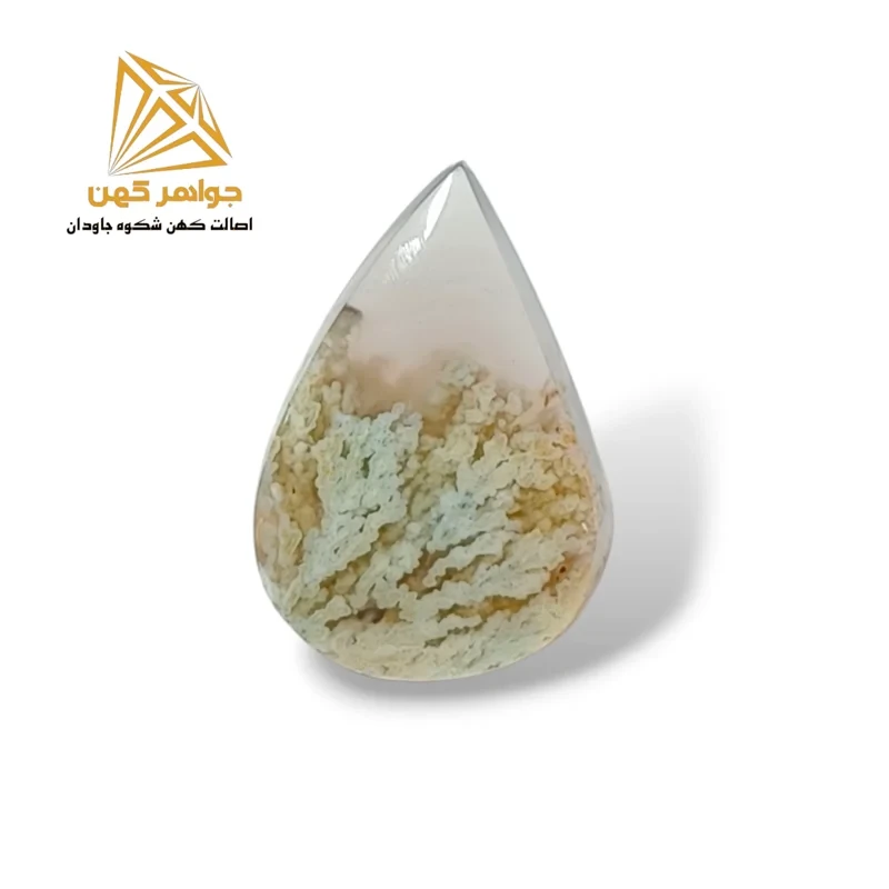 نگین شجر زمستانی (کد۸۰)