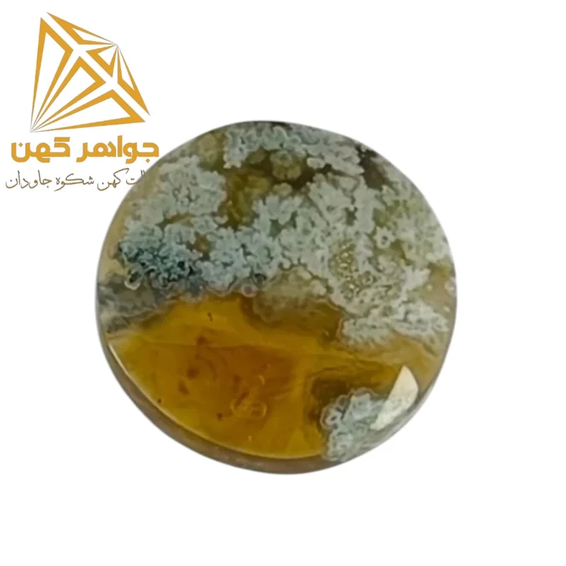 نگین شجر پاییزی کد(۶۹)